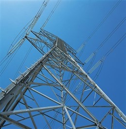 Fiscalía exige medidas para evitar la electrocución de aves en La Safor