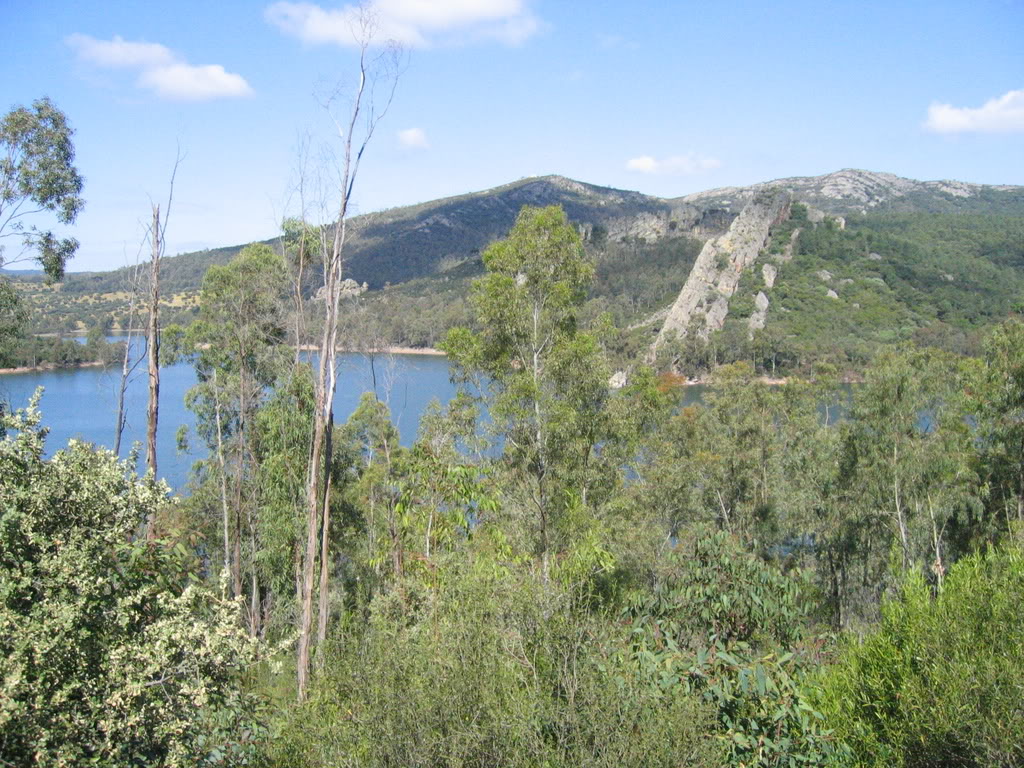 FSC España impulsa un nuevo modelo empresarial en Extremadura basado en la gestión responsable de sus montes y dehesas