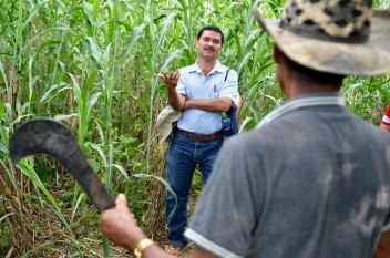 Se necesitan tomar decisiones sobre agricultura en las negociaciones durante la COP18