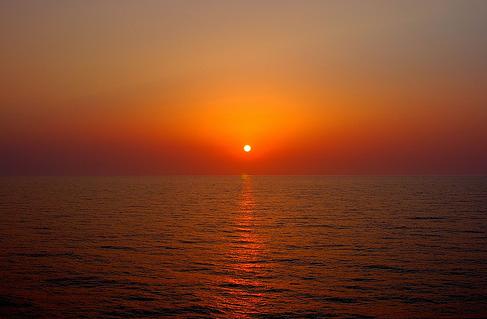 Un estudio detecta 38 nuevas especies en el Mediterráneo y lo relaciona con el aumento de la temperatura del mar