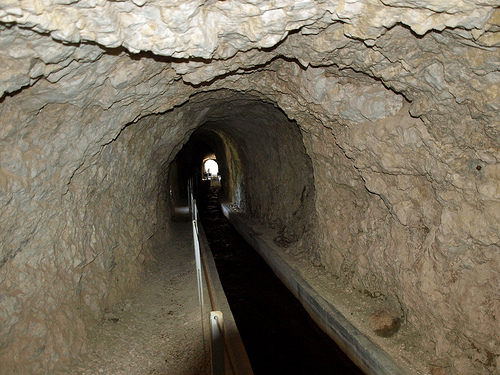 Aparece una nueva especie de insecto única en el mundo en una cueva del Parque Natural Sierra de Cazorla
