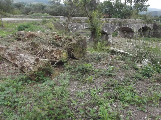 Arboricidio en la ribera del Saja