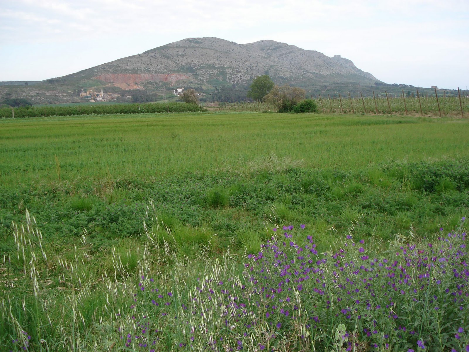 Interceptados tres coraleros furtivos en el Parque Natural del Montgrí