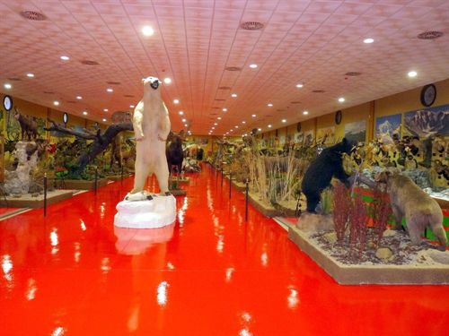 Más de medio centenar de jóvenes visita en Almendralejo el Museo de la Naturaleza de Domingo Cadenas