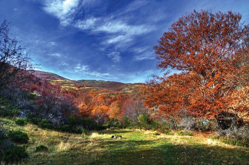 El MARM finaliza las obras de mejora y mantenimiento del Camino Natural de Los Hayedos y Robledales en Riaza (Segovia)