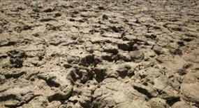 Anunció Paraguay posición que defenderá en Cumbre ambiental