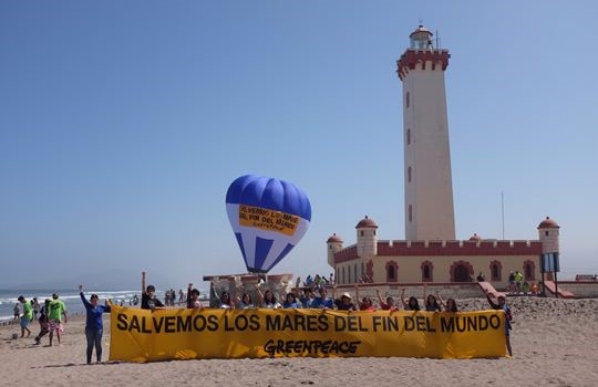 Greenpeace: no más granjas de salmón en la región chilena de Magallanes