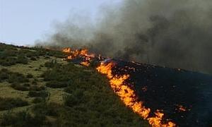 El incendio forestal en una zona sierra de Huesa afecta a 50 hectáreas