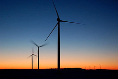 Dudas sobre si derogar el fallo eólico