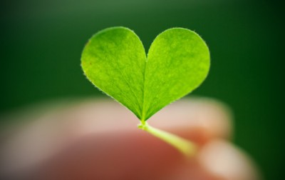 Potentísimo ‘Master en Gestión y Conservación de la Naturaleza’