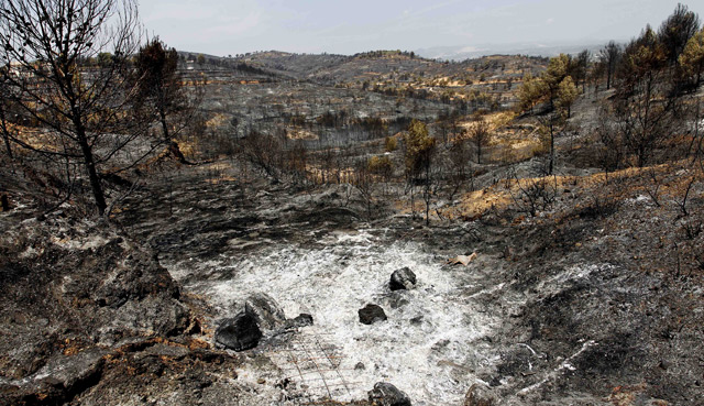 En julio han ardido 10.157 hectáreas de bosque