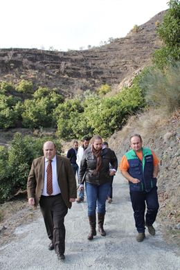 Granada ofrece medios materiales y humanos en Jete tras el incendio que arrasó 40 hectáreas