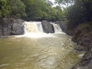 Crean refugio para especies en extinción