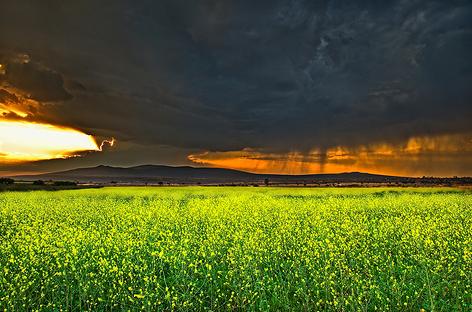 El cambio climático contribuirá a un año difícil para el agro