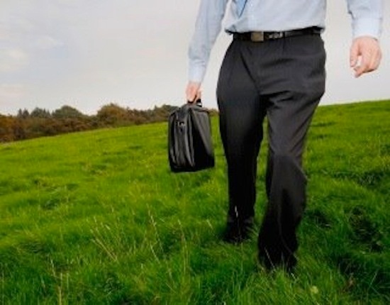 50% el empleo verde antes de 2015