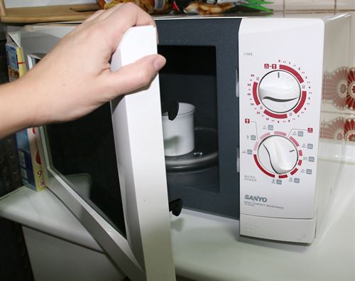 En Reino Unido una mujer irá a la cárcel por matar a su gato en el microondas