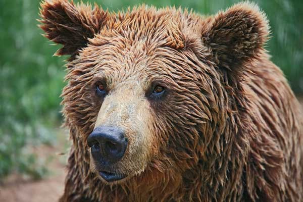 Fundación Biodiversidad