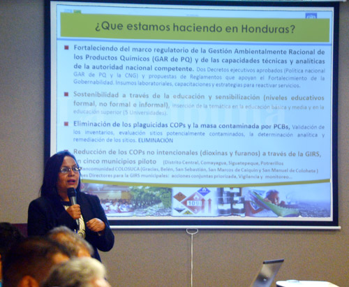 Honduras impulsa proyecto contra la quema de basura