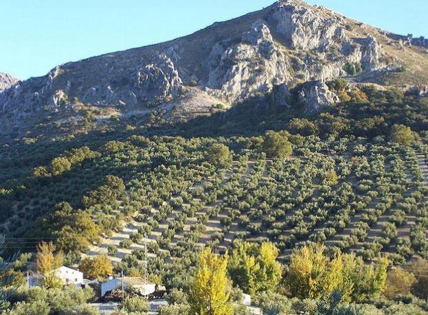 Parques Nacionales y ONCE mejoran la accesibilidad de espacios protegidos