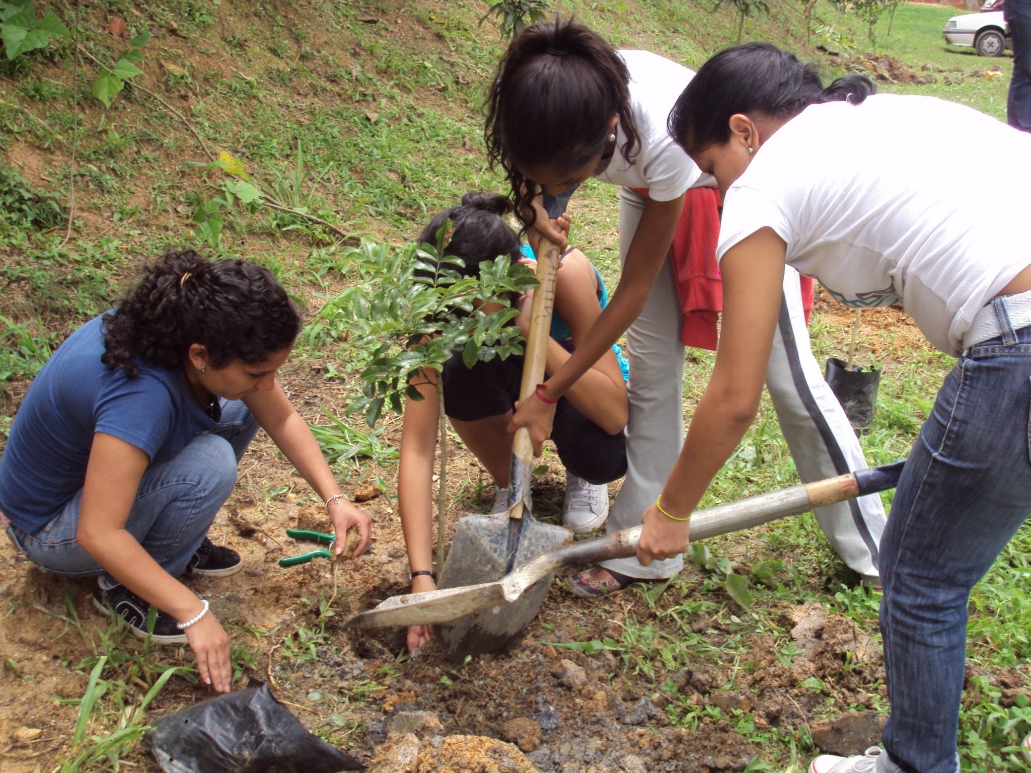 Llave estudiantes y equipo Ambiente Miranda