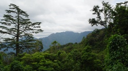 Inician elaboración de Inventario Forestal y de Suelos de Chiapas