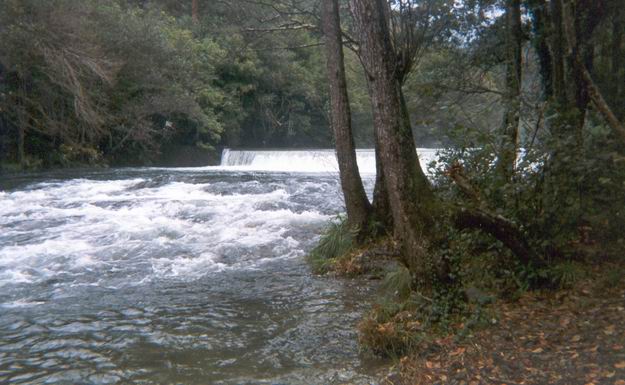 Galicia. Barreras vegetales en zonas quemadas de las Fragas para evitar arrastres al río Eume
