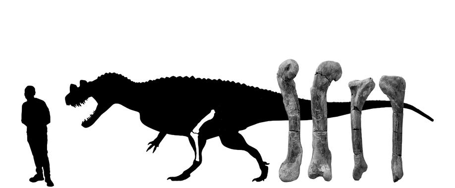 Conoce al ‘Ceratosaurus’
