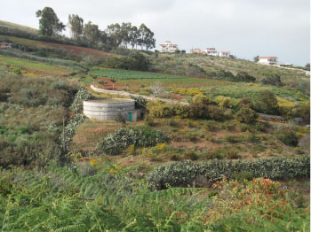 La Vinca EeA dice NO al Parque Industrial en Las Huertecillas de Firgas