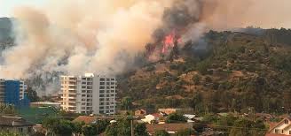 El humo de incendios forestales puede impactar en el clima a largo plazo