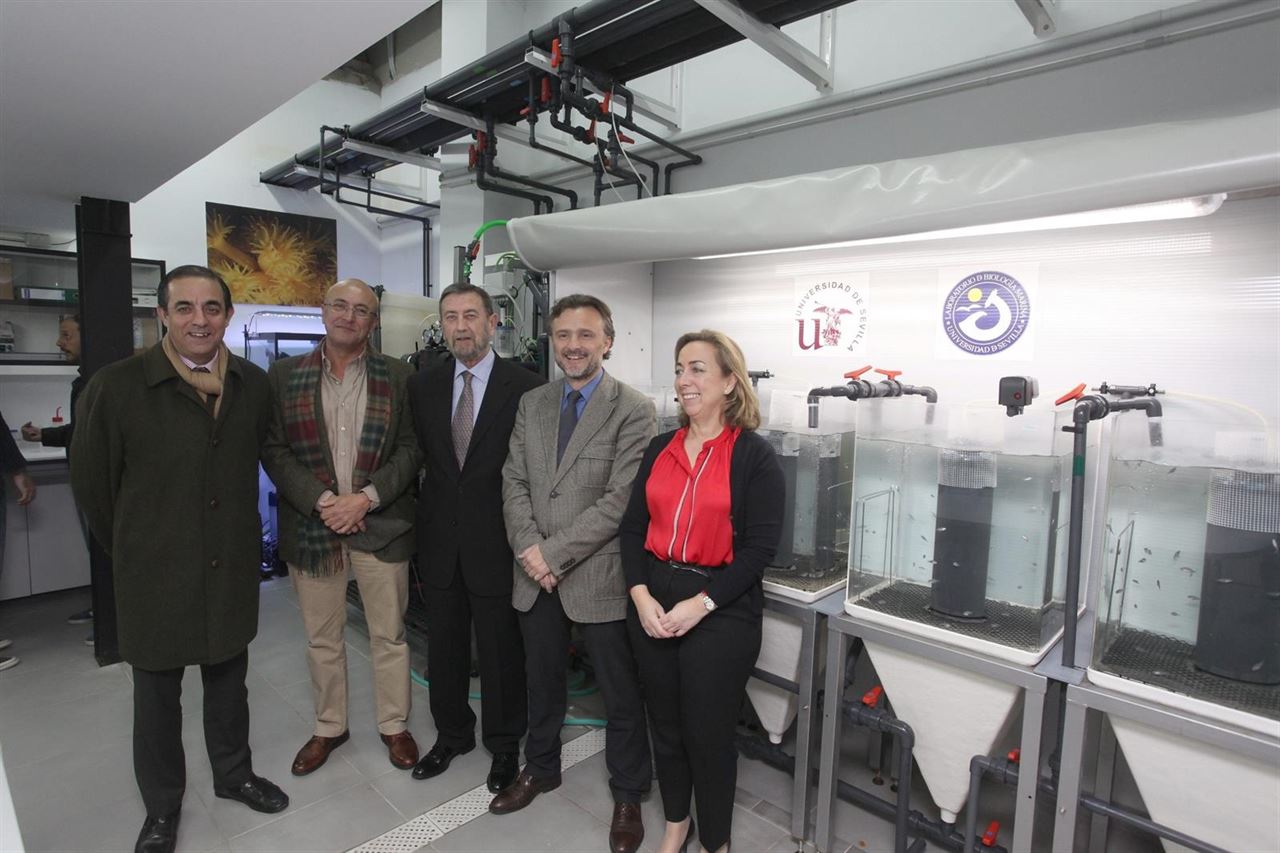 Las conclusiones iniciales sobre posibles impactos de dragado en el estuario