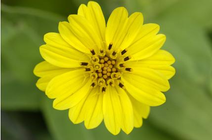 Corredor ecológico que conectará las Lugunas de la Mata y Torrevieja de Alicante