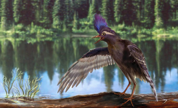 Conoce a los antepasados de los pájaros