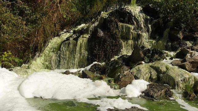 ONG exigen a la UE fondos para las depuradoras de Doñana