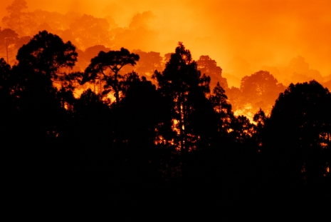 Un incendio descontrolado ha quemado unas 78.000 hectáreas en el este de Arizona (Estados Unidos)