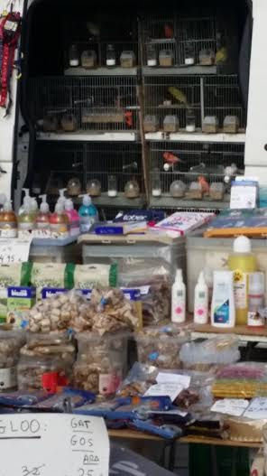 Venta ilegal de animales en un mercado semanal de Blanes