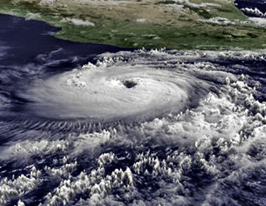 Los huracanes pueden tener un impacto positivo en el ecosistema al renovar las zonas naturales