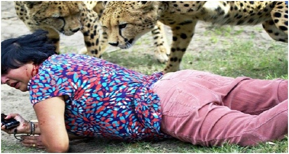 Turistas muy animales