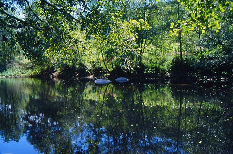 Técnicos de la Confederación Hidrográfica analizan un vertido de color blanco en el río Avia