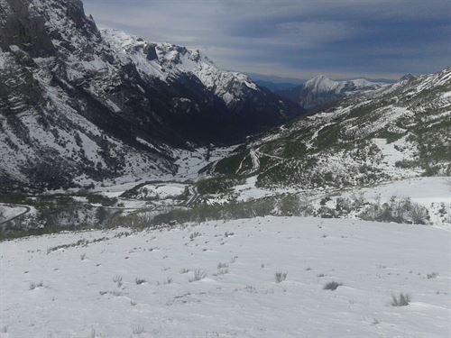 Enmiendas a la totalidad al proyecto de Ley de Montes