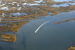 Humedales costeros en Delta del río Misisipi contaminados por petróleo