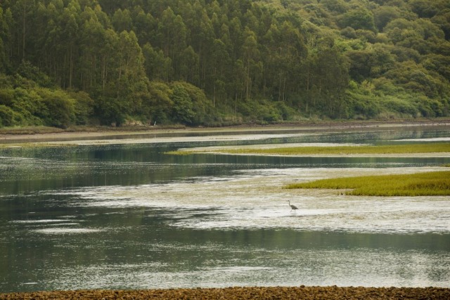 La Marisma de Rubín vuelve a los brazos del Mar Cantábrico