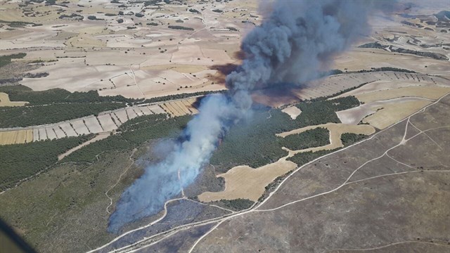Incendio forestal de San Gregorio y Zuera en Zaragoza