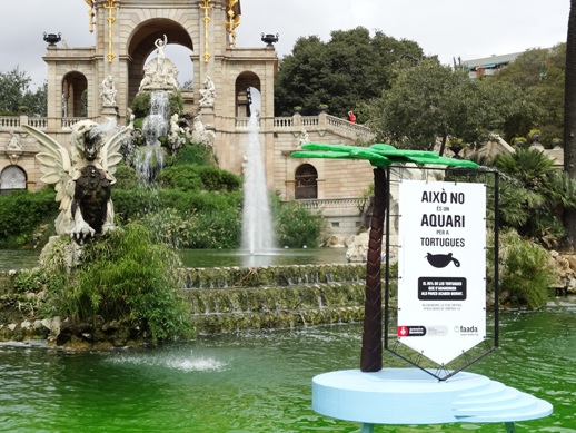 Esto no es un acuario para tortugas