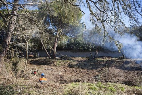 Boadilla (Madrid) crea un cortafuegos entre el monte y el área de Prado Largo
