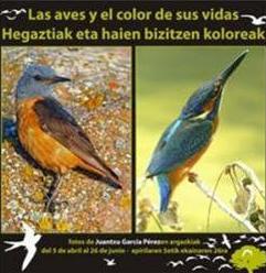 El Centro de Biodiversidad de Euskadi inaugura la exposición "Las aves y el color de sus vidas"