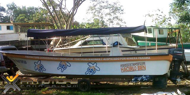 Protegerán Tortugas Marinas en Costa de Colón