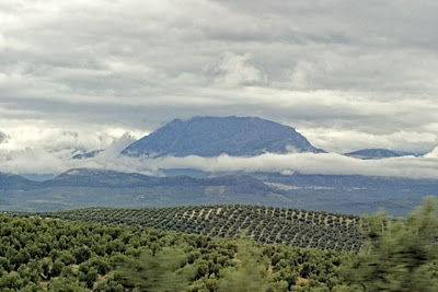 Ingenieros de montes abogan por hacer de los montes un medio de vida