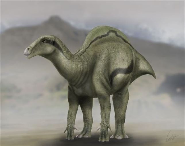 Conoce el dinosaurio que se parecía a un dromedario