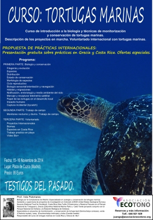 Te gustan las tortugas marinas