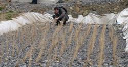 Euskadi. Los caseríos de Garteiz